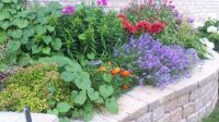 Garden by the door