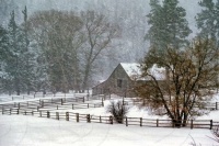 Down on the Farm where the snow is Gently Falling