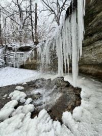 icicles
