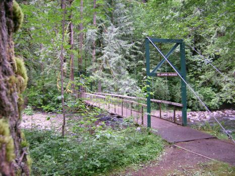 Metzler Park Suspension Bridge