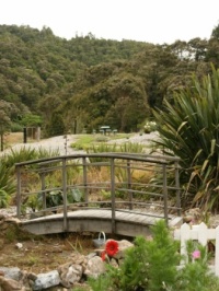 Garden in Hikaurangi New Zealand