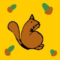 eekhoorn