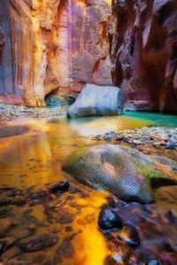 Liquid Gold - The Narrows, Zion National Park, Utah