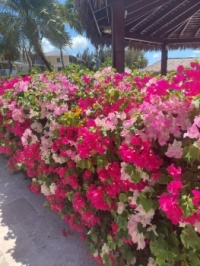 Grand Cayman