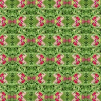 Kaleido