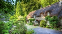 Row of cottages in Dartmoor, Devon, UK