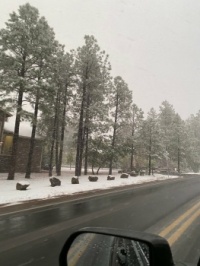 Snow in Show Low 3
