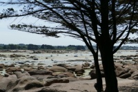 Une plage en Côtes d'Armor