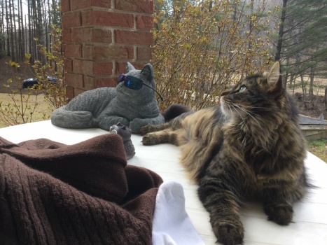 Kit Cat and his cool friend.