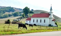 Old St. Mary's Church - Nicasio, California