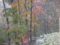 Falling snow!  Western Worcester County