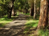 Path_1