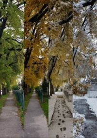 same scene in one week in Winnipeg