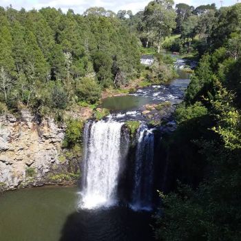 Dangar Falls, Dorrigo, Australia