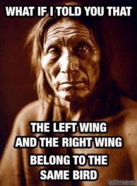Wisdom