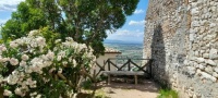Place with a view