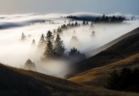 Fog in Marin County, California