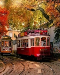 Colourful trams in Lisbon, Portugal