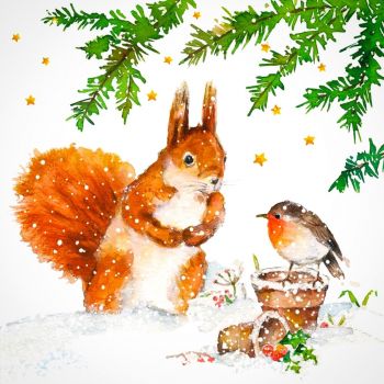 Lovely Robin and Squirrel