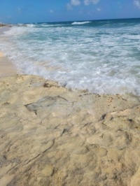 Mexico Beach