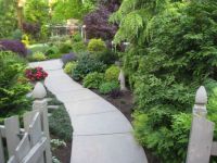 Along the path at J&J's
