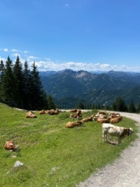 In den Alpen (from Spitzingsee to Rotwand)