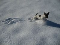 Flo in the snow