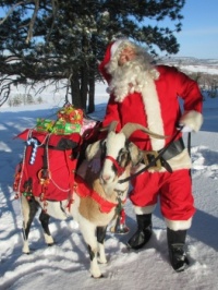 Santa and Yule Goat