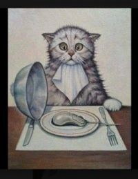 Poor hungry cat.jpg