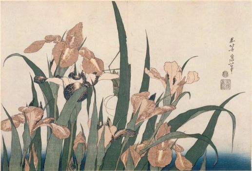 Katsushika - Irises and Grasshopper, 1849