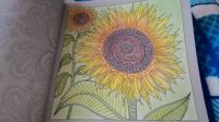 coloring book-slunečnice