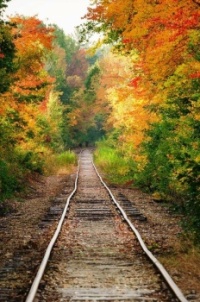 High Speed Rail?