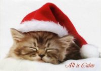 All is calm