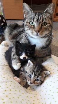Mama and Her 2 Little Ones