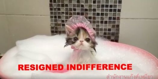 RESIGNED INDIFFERENCE