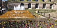 Water Fountain