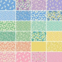 Field of Flowers