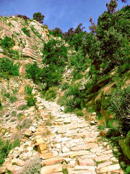Grand Canyon - Horseshoe Mesa Trail
