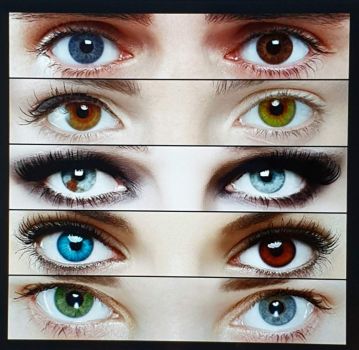 Solve One Eye Two Eyes Brown Eyes Blue Eyes Jigsaw Puzzle Online With 64 Pieces