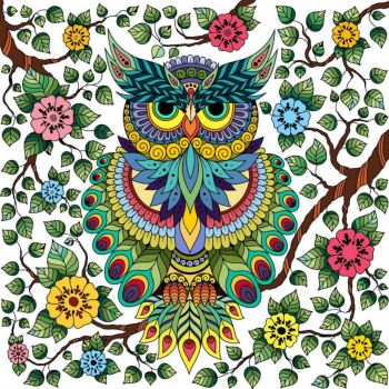 Solve Beautiful owl jigsaw puzzle online with 81 pieces