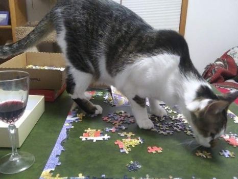 Shirleys Cat Puzzle 2