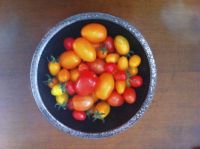 Home grown tomatoes