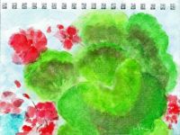 geranium watercolor sketch