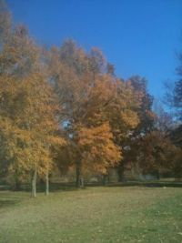 Fall in Southern Missouri