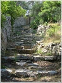 Paxos