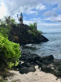 Floreana Island Galapagos