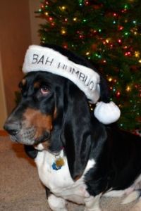 Scrooge Norman