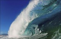 Wave 9