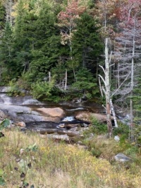 Great Smoky Mt Nat'l Park