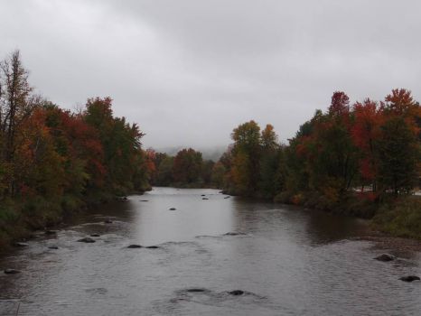 Fall touches the W Branch of the Ausable